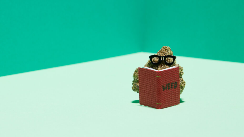 8 weed strains for focused studying