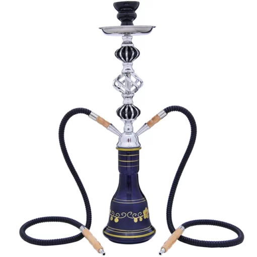 Premium 2-Hose Hookah Kit with Glass Vase