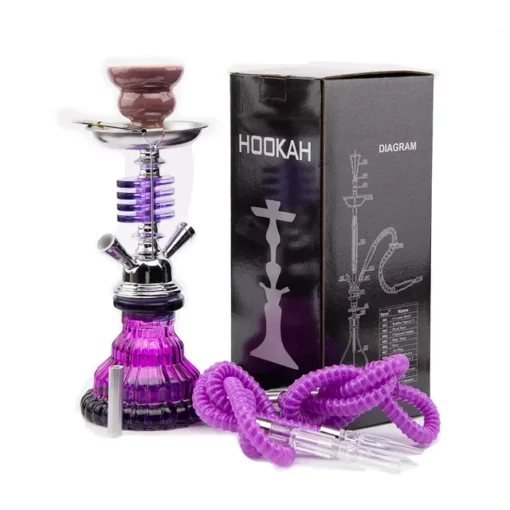 Premium Portable Mini Glass Hookah Set